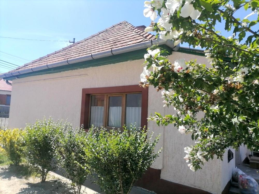 Lankas Vendeghaz - Holloko Villa Buitenkant foto